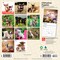 BrownTrout; Chihuahua Puppies | 2027 7 x 14 Inch (Hanging) Monthly Mini Wall Calendar; Category:Wall Calendars; Image:3